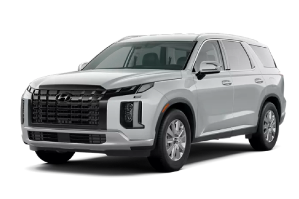 New Hyundai Palisade